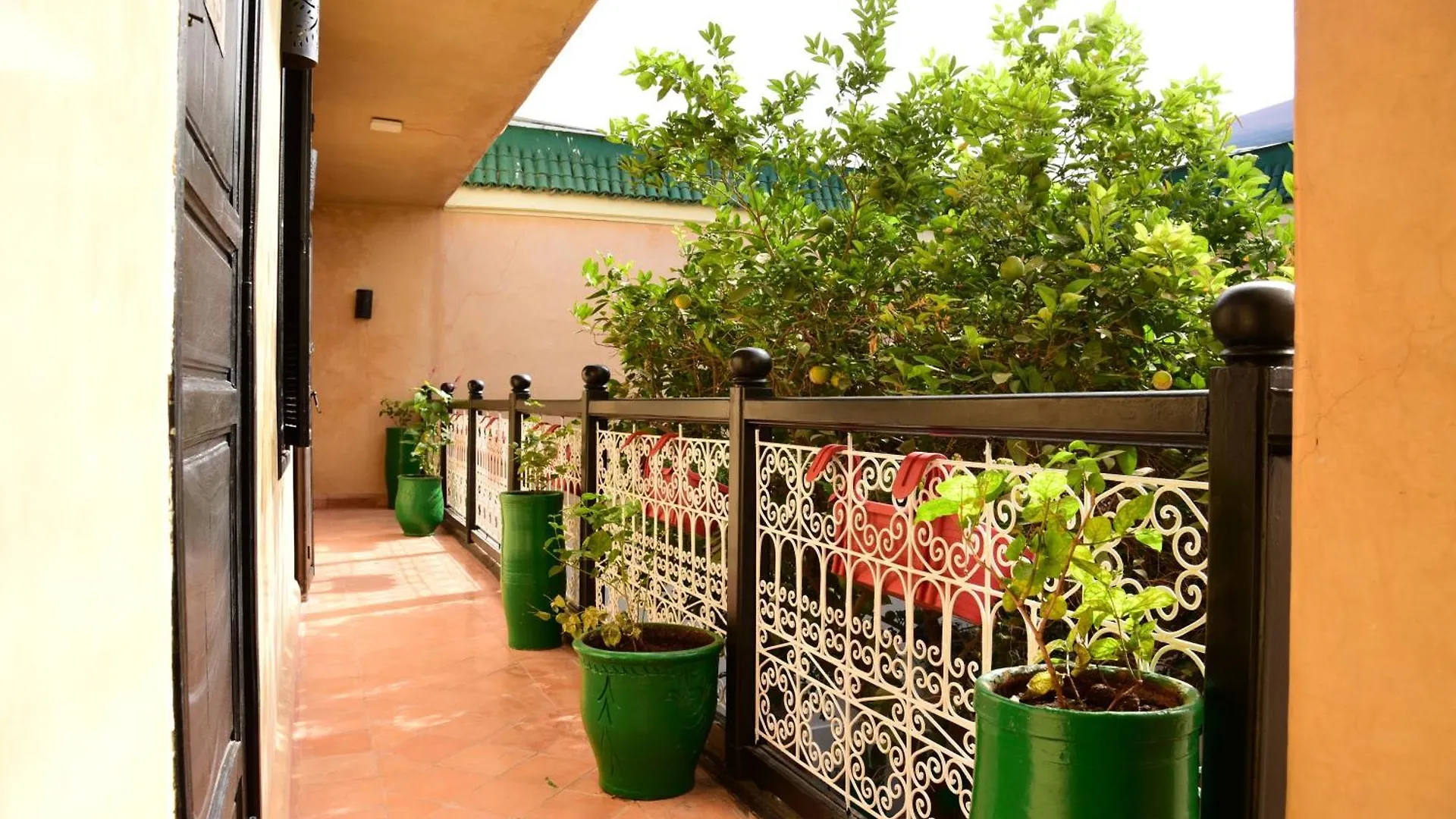Riad Du Petit Prince Marrakesh